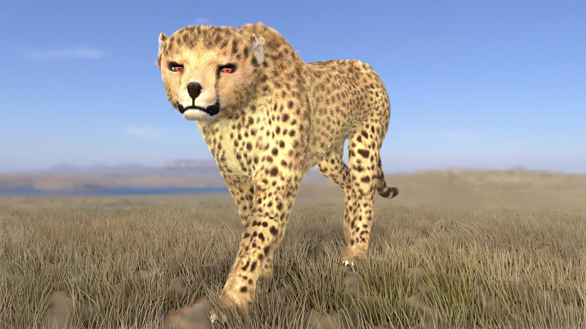Cheetah preview image 1